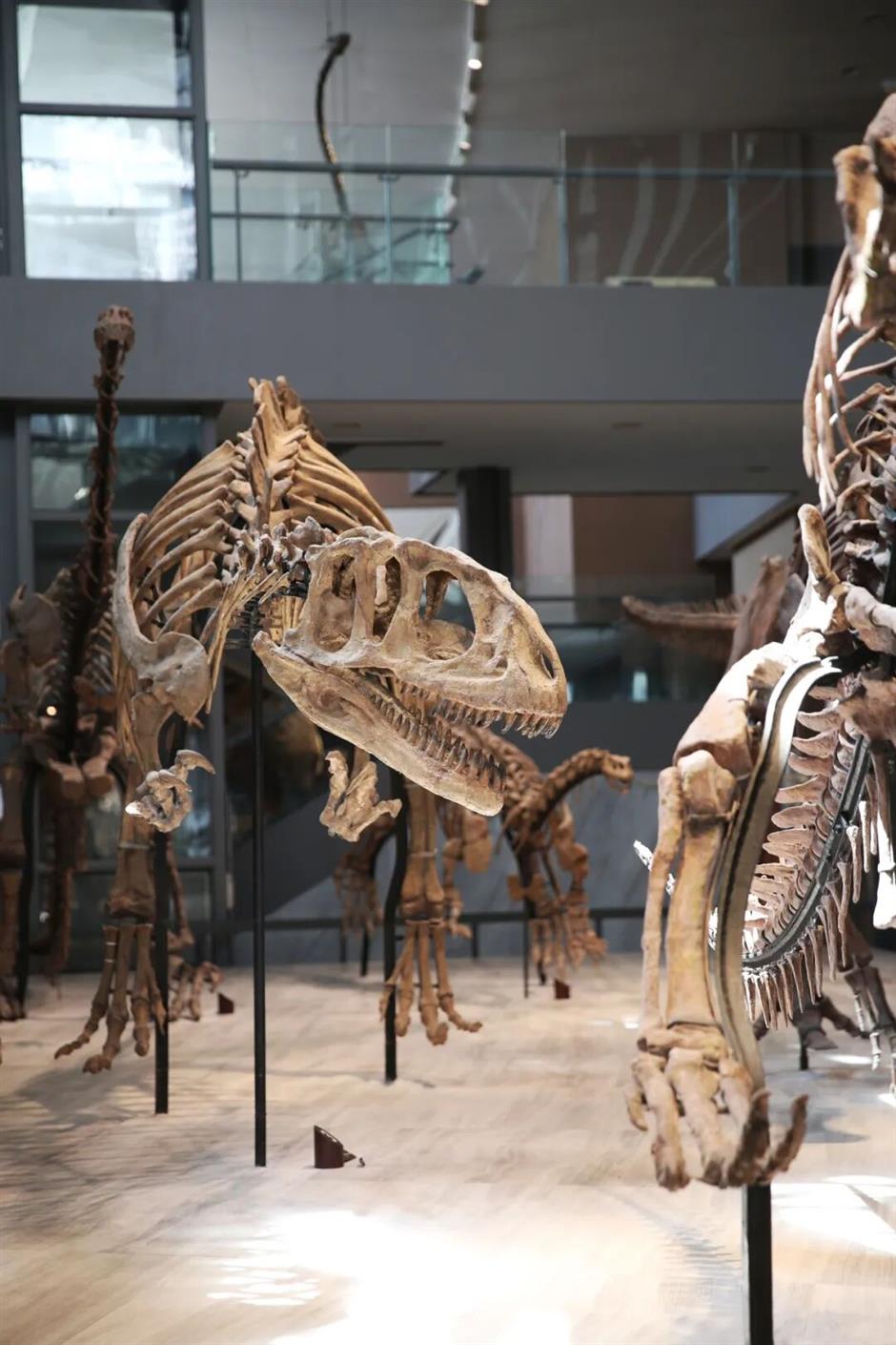 A selection of recommended cultural exhibitions in Shanghai