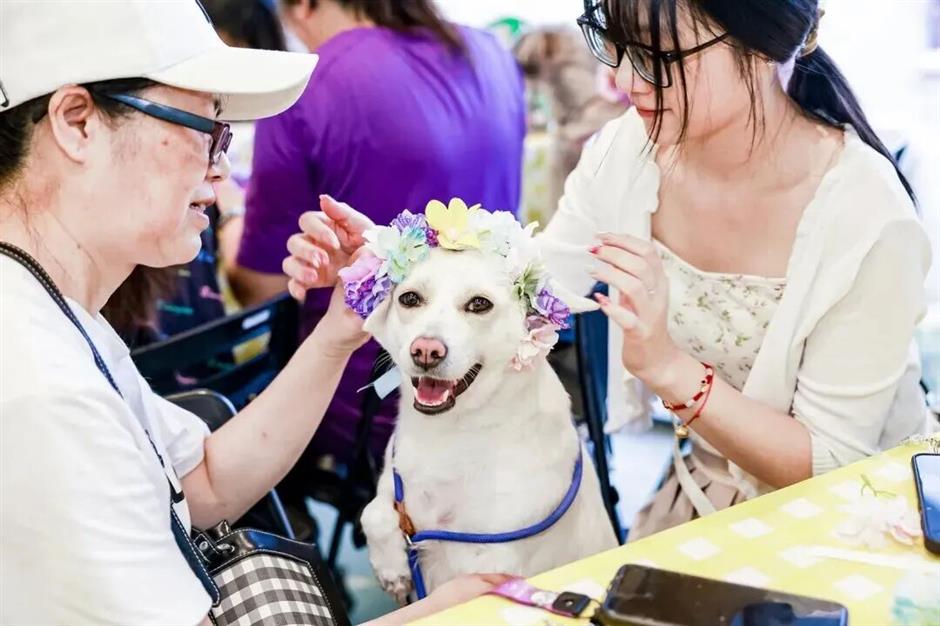超百场活动!上海这个弄堂街区演绎海派过节新玩法