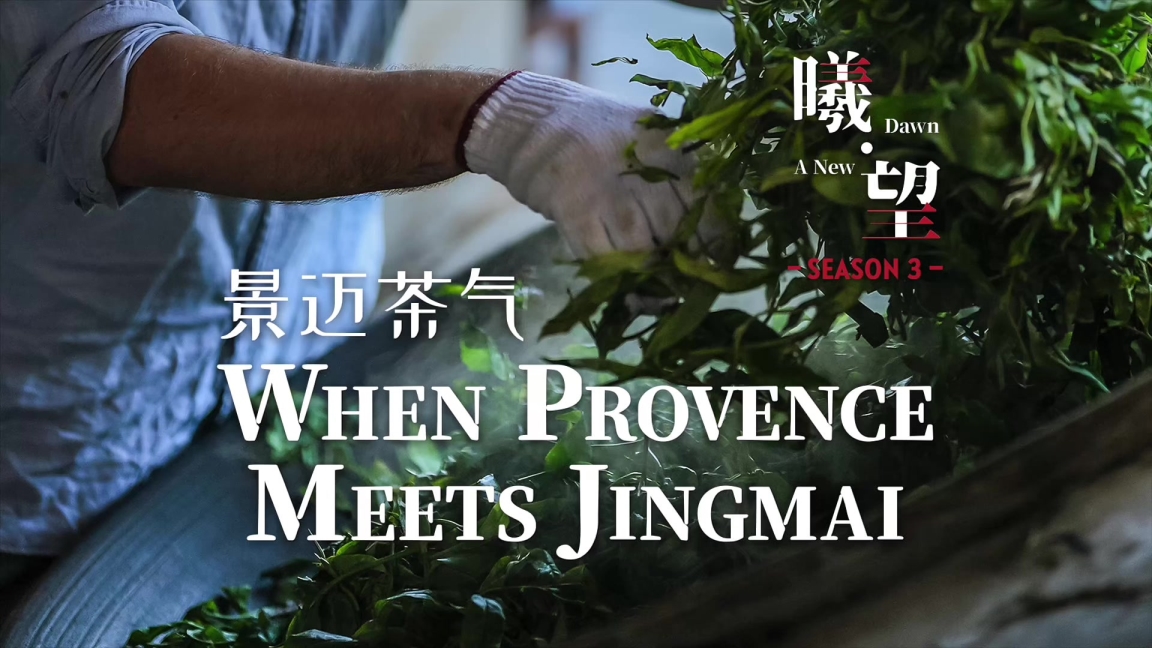 Discovering Pu'er: A Frenchman's Journey to the Terroir of Tea