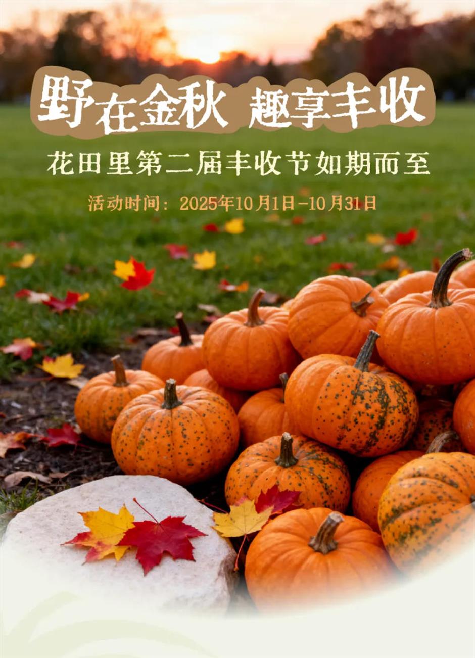 沪郊秋色,顶流!