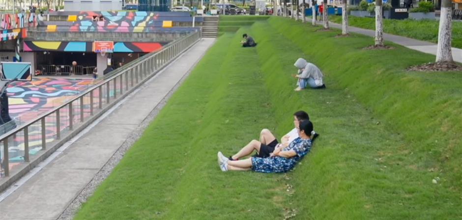 Experience the Vibes of a City with Verve: Profiles