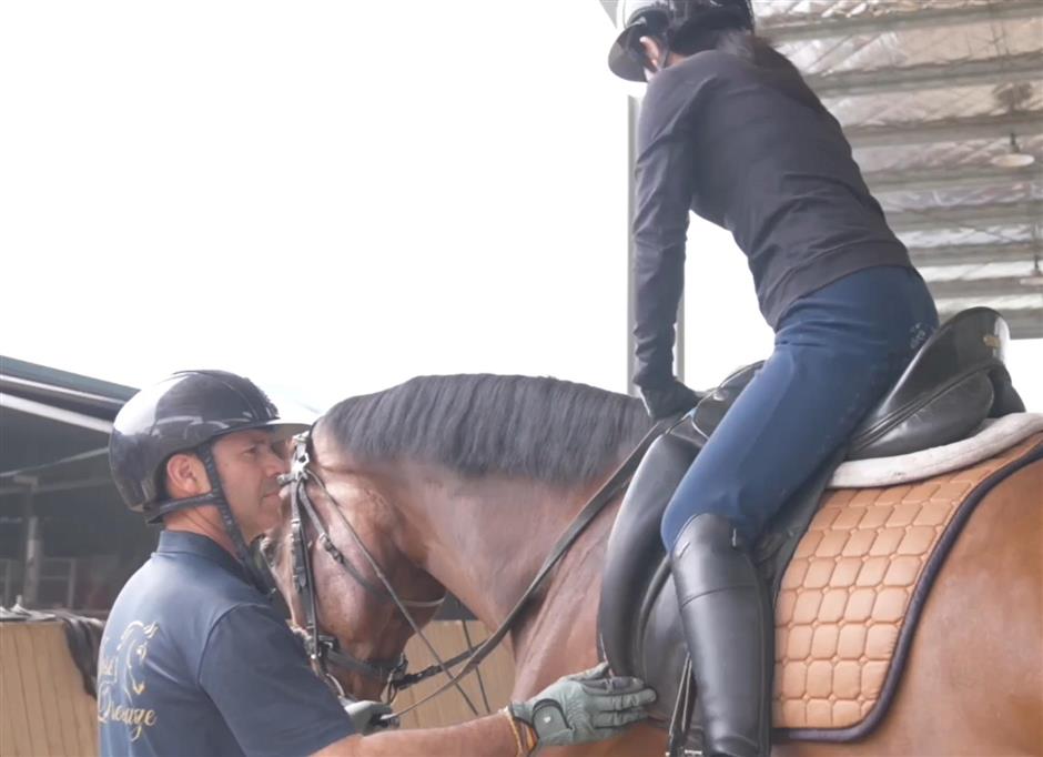 Experience the Vibes of a City with Verve: Profiles