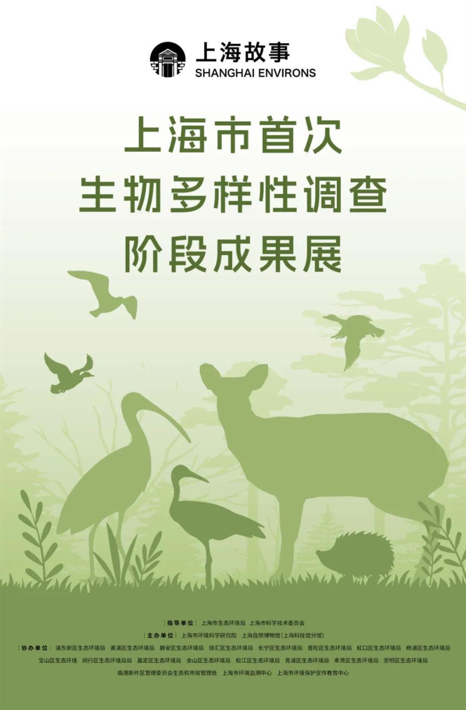 沪上博物馆10月观展指南!解锁秋日文博时光