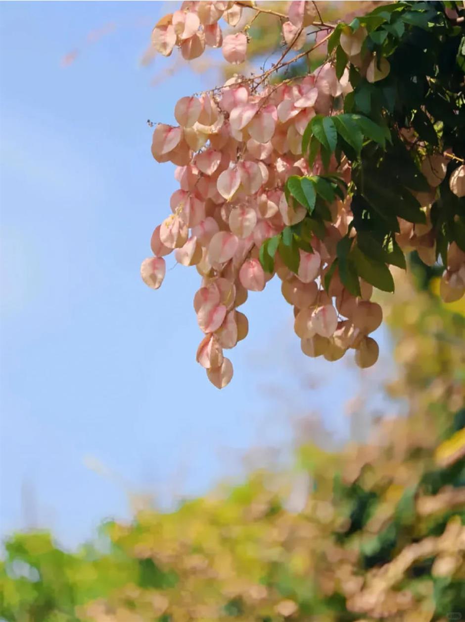 上海又一超有sense的街區,就在靜安!