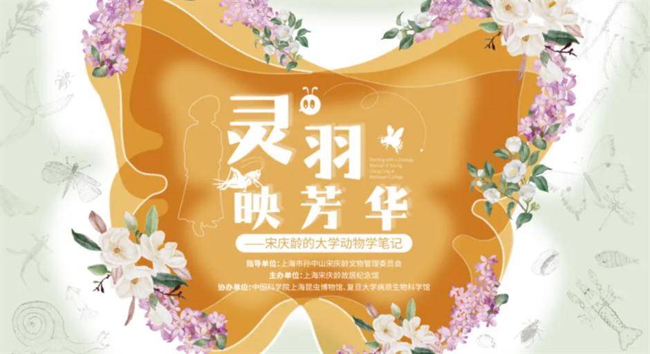 沪上博物馆10月观展指南!解锁秋日文博时光