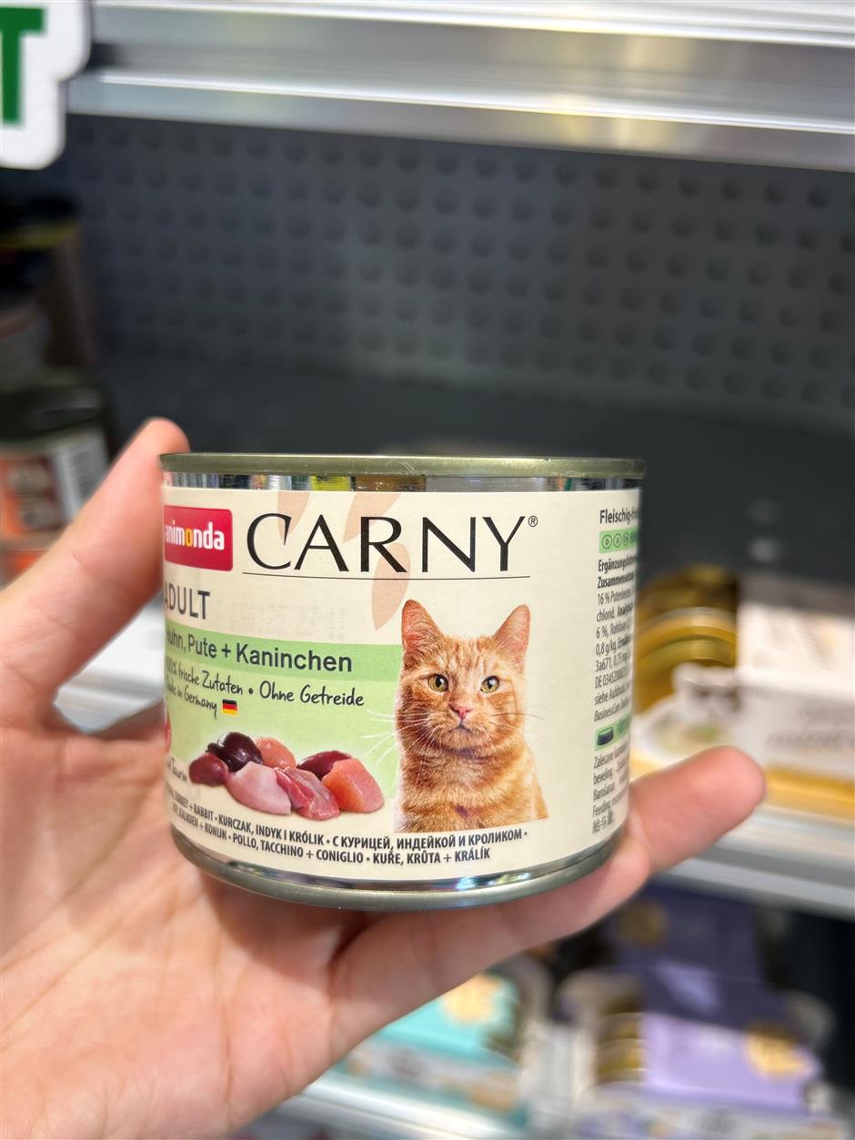 [First in Shanghai] Have a Pet? Shanghai's Pet Market is Huge