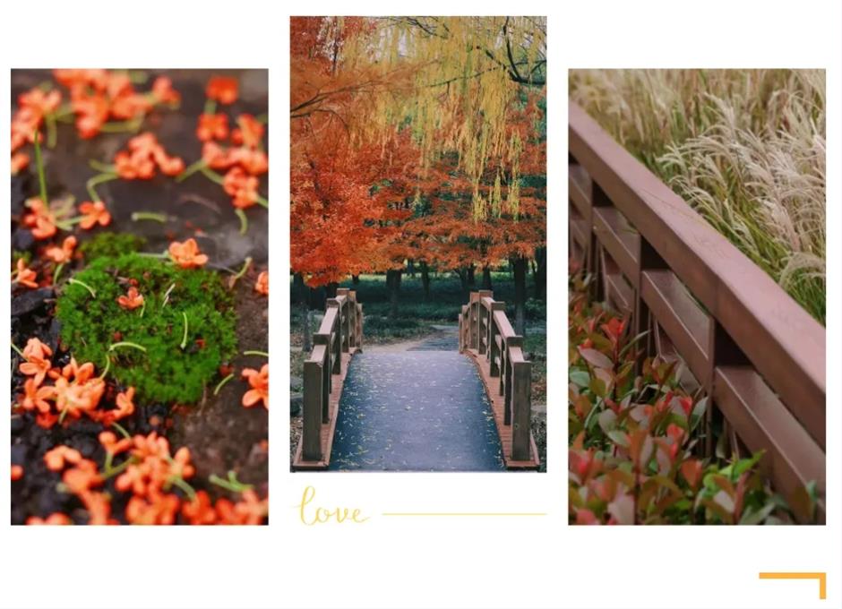 上海秋天花式玩法!一波精彩體驗別錯過