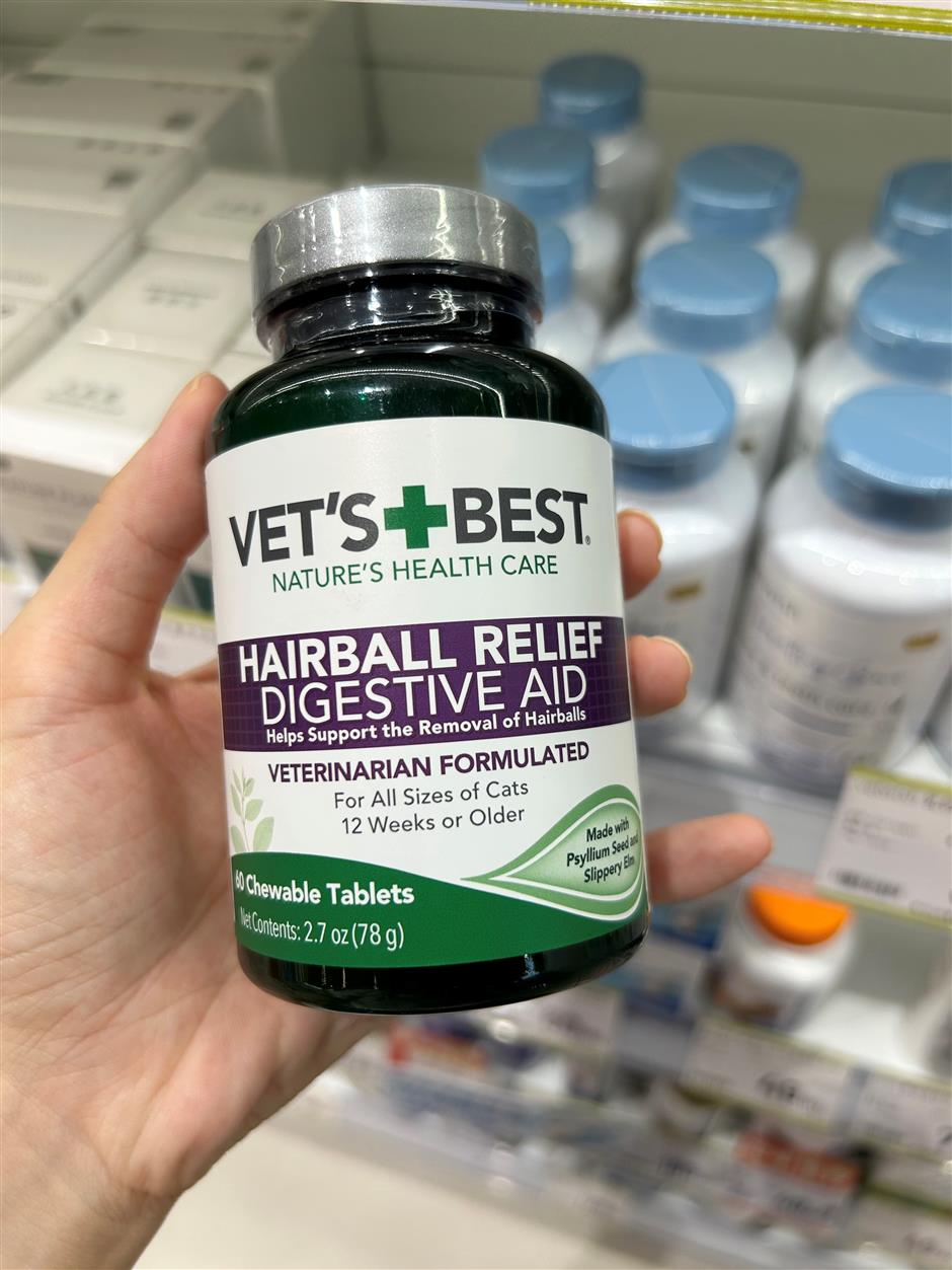 [First in Shanghai] Have a Pet? Shanghai's Pet Market is Huge