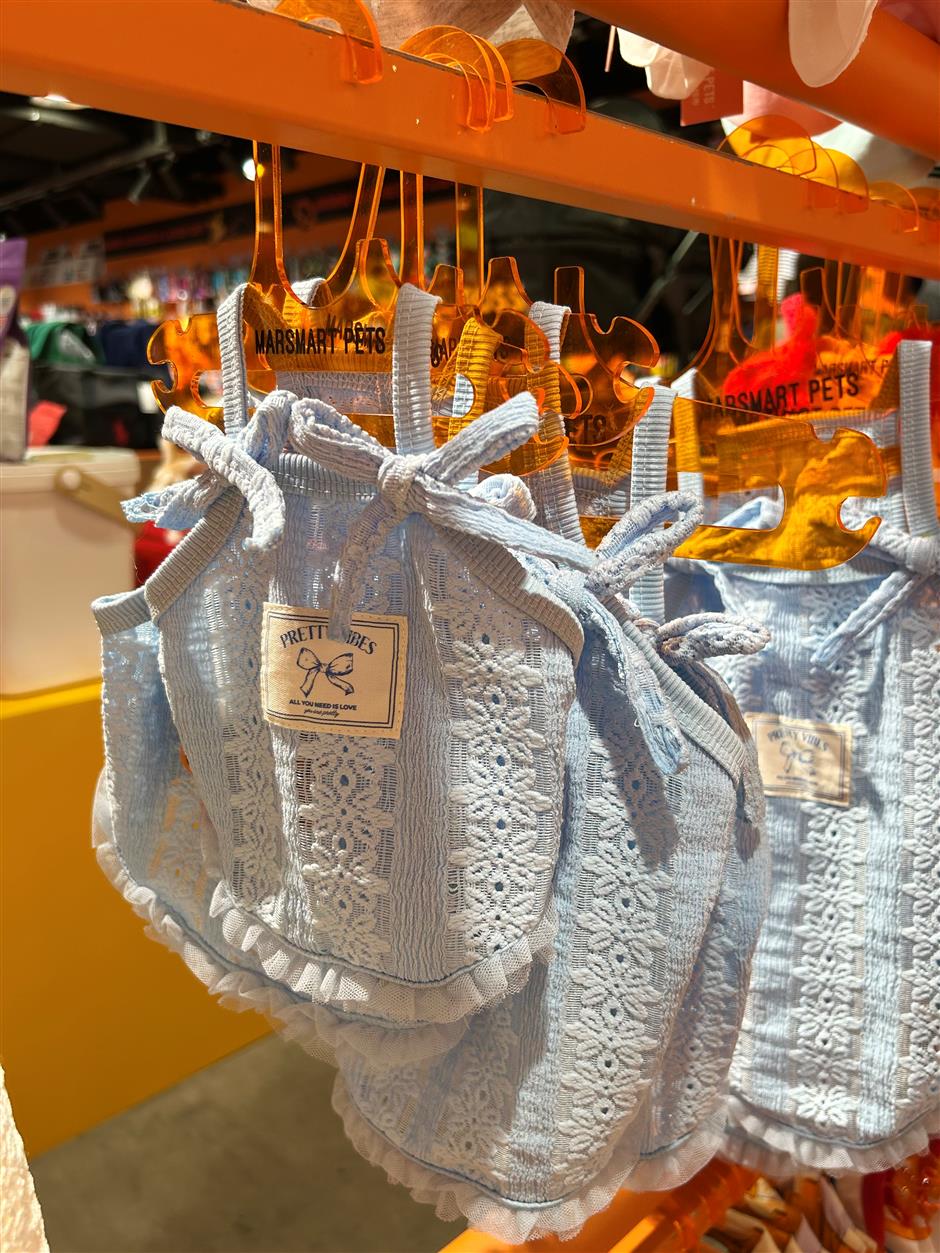 [First in Shanghai] Have a Pet? Shanghai's Pet Market is Huge