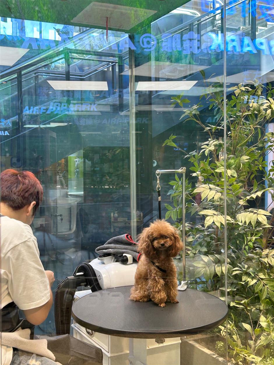 [First in Shanghai] Have a Pet? Shanghai's Pet Market is Huge