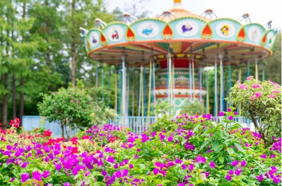 國際藝術節、外灘音樂節、森林紅花節.....一周文旅生活