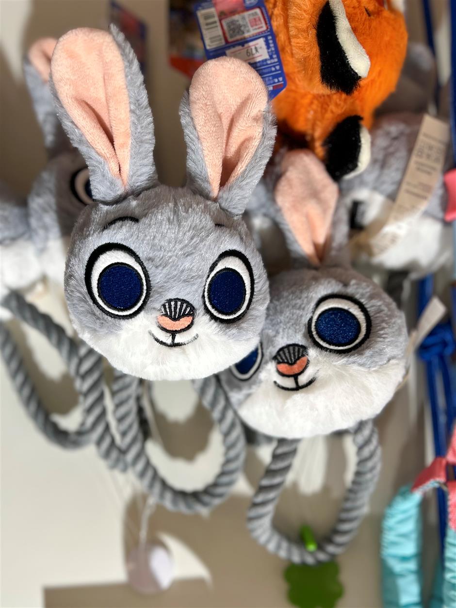 [First in Shanghai] Have a Pet? Shanghai's Pet Market is Huge