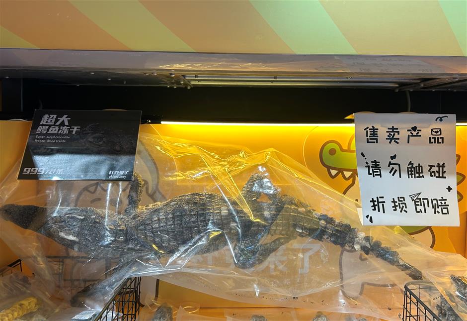 [First in Shanghai] Have a Pet? Shanghai's Pet Market is Huge