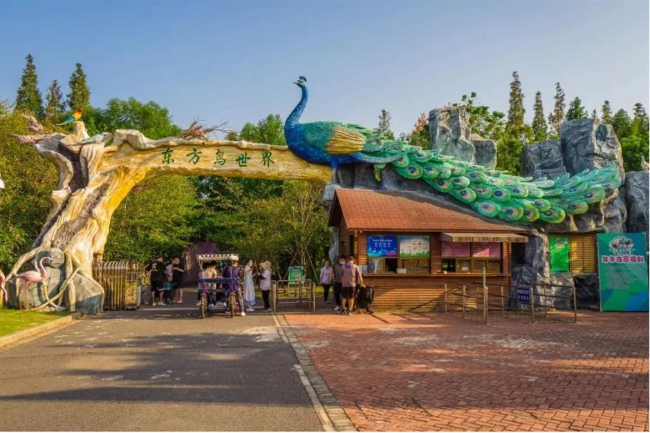 上海秋天花式玩法!一波精彩體驗別錯過