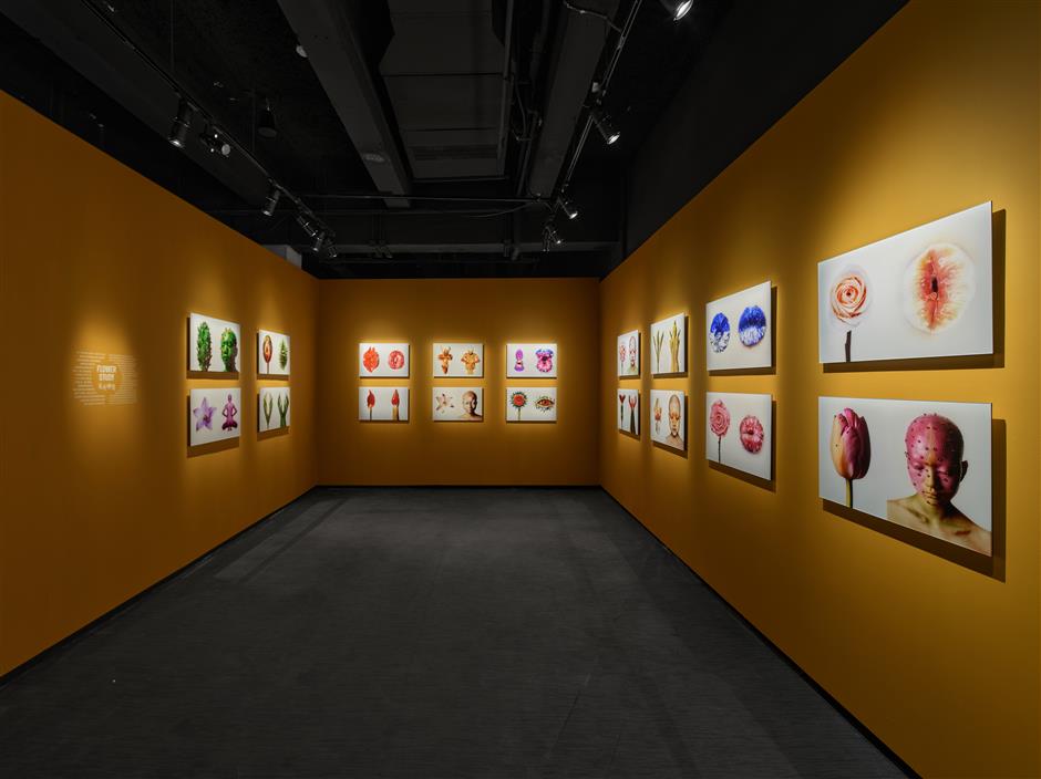 Shanghai Hosts SKorean Artist Cho's First Major Solo Show in Asia