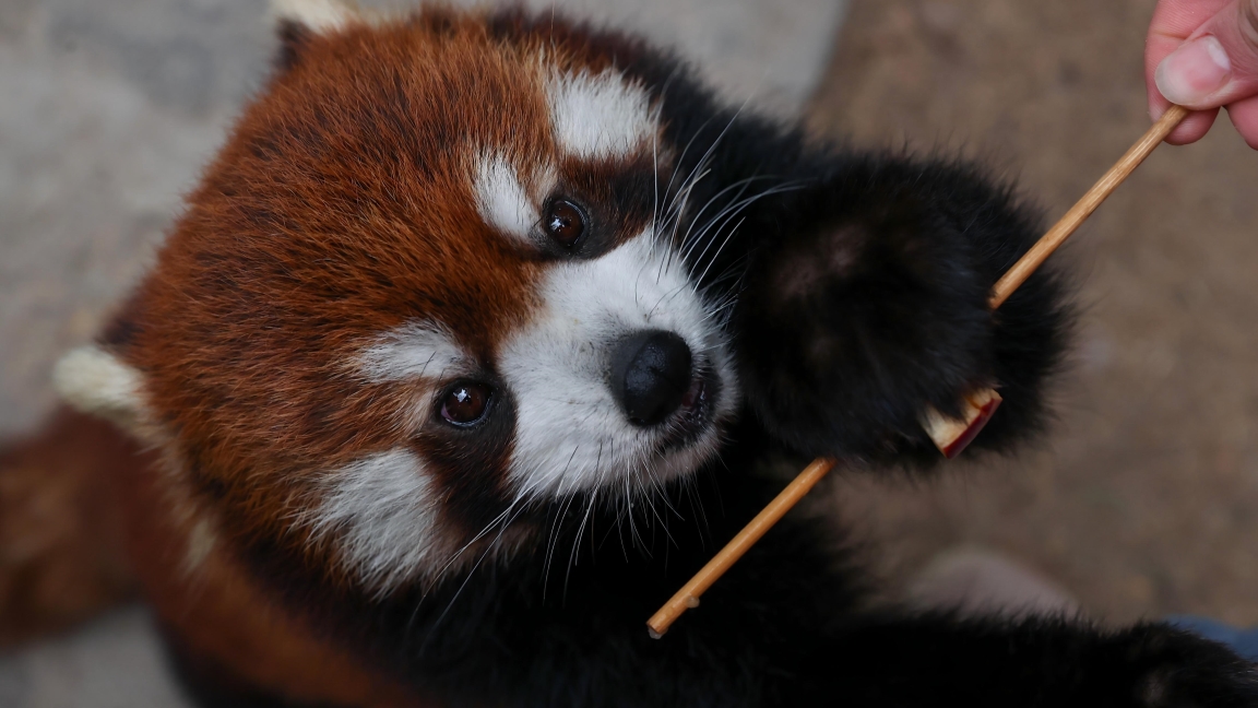 Shanghai Nature Festival to Highlight Science, Sustainability