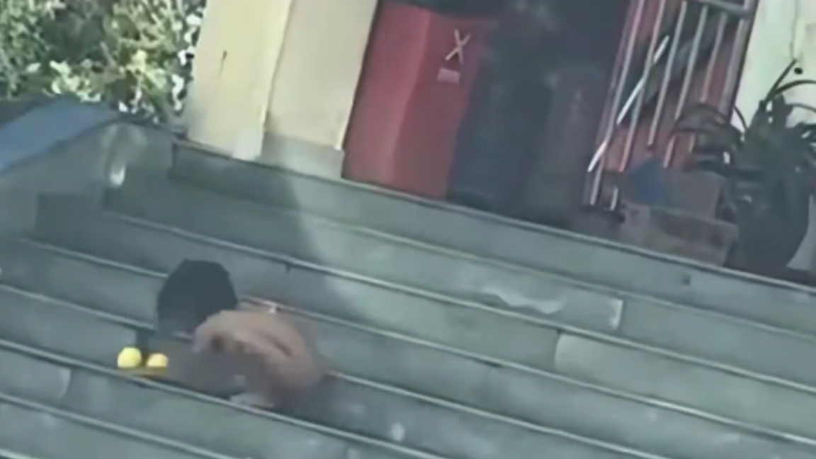 Police Probe Parents Following Viral Naked 'Wild Child' Video