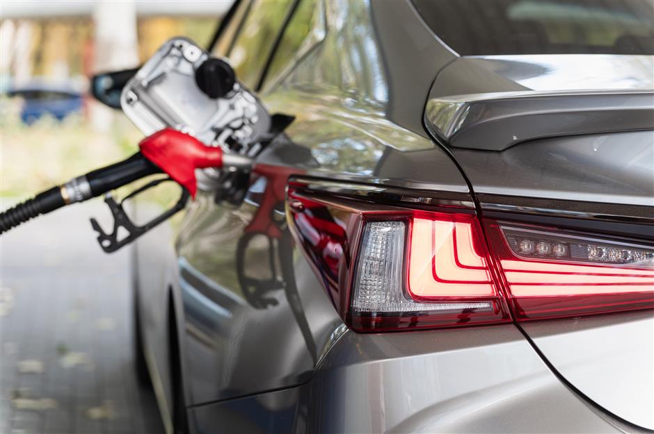 Are Gasoline-Powered Cars Dinosaurs? Not for Chinese Consumers
