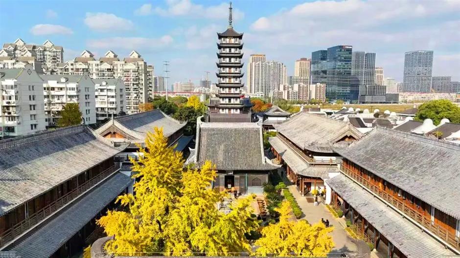 Ancient temple, ginkgo tree included in national preservation list