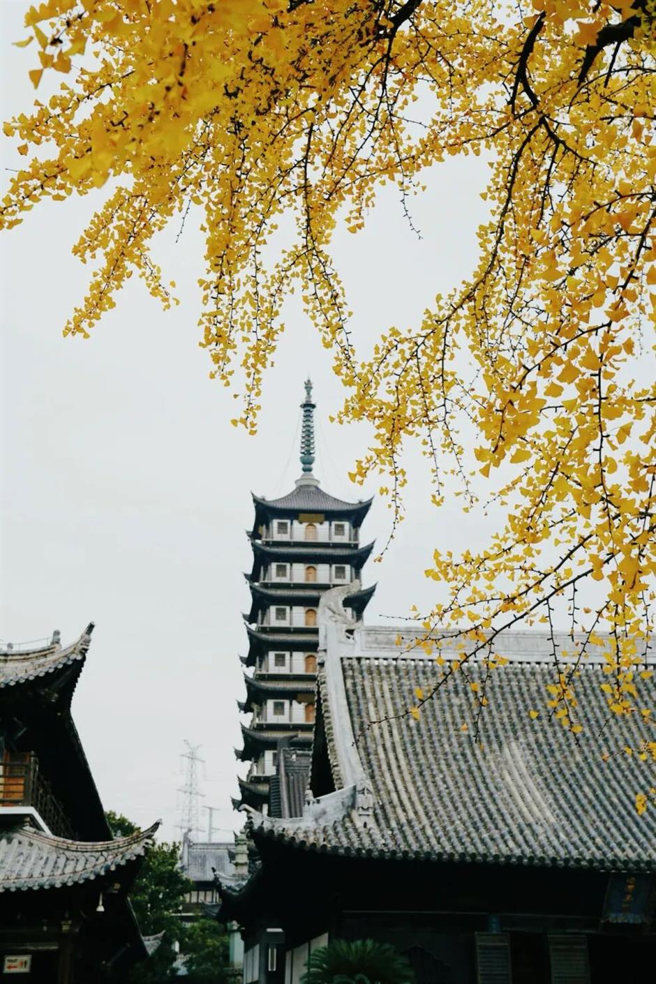 上海唯一!這裡入選國家級名錄!