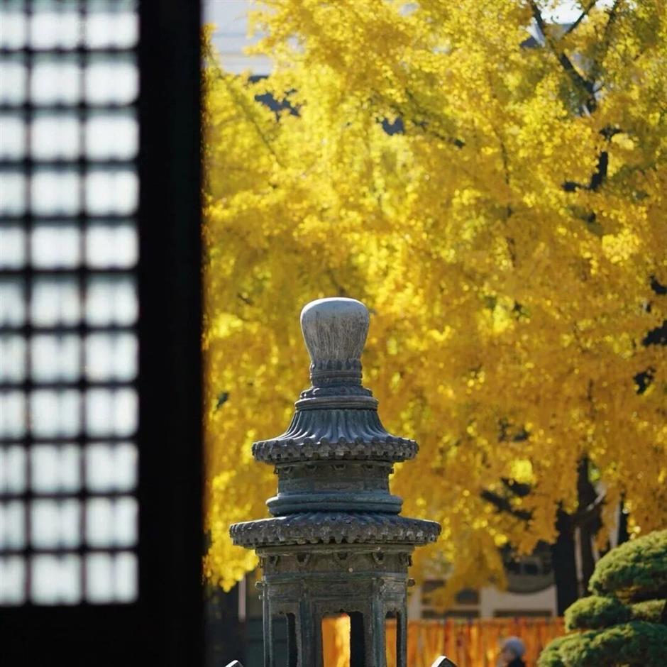 上海唯一!這裡入選國家級名錄!