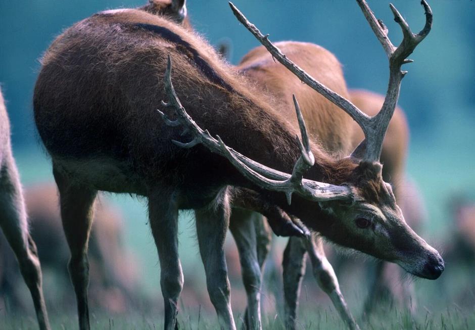 China through the eyes of Michael Freeman