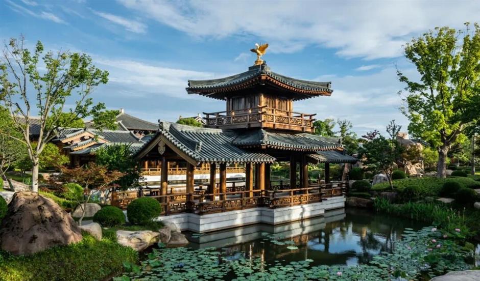 上海第一棵枫树红了!在这个古建筑里梦回大唐→