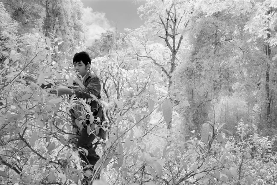 China through the eyes of Michael Freeman