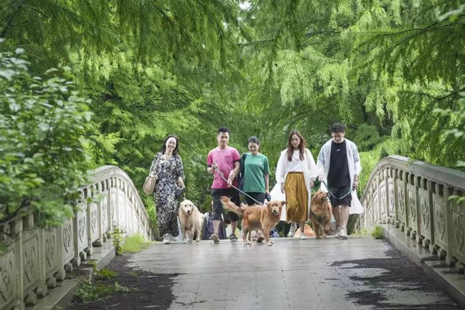 這個公園秋游的5大玩法,每種體驗都心動
