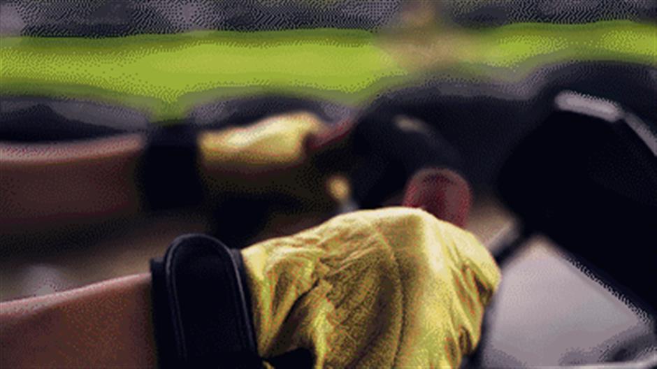 這個公園秋游的5大玩法,每種體驗都心動