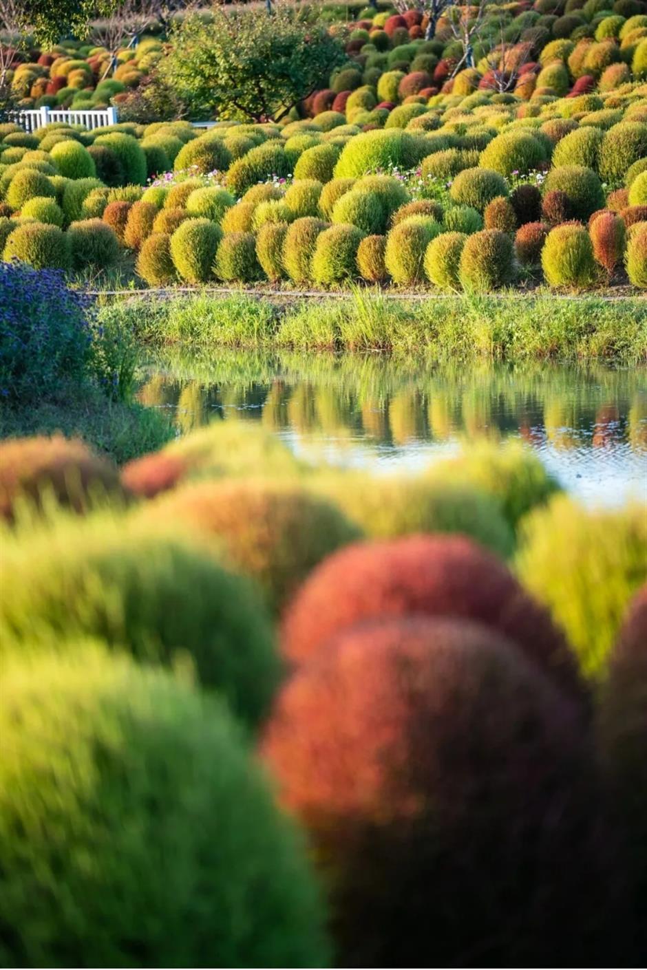 金秋顶流回归、多家公园免票入园、《繁花》终季首演.....一周文旅生活