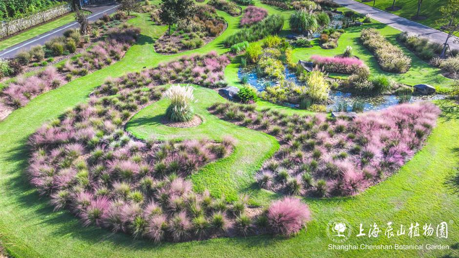 赏秋景、逛展览、品美食......重阳节专属福利来了