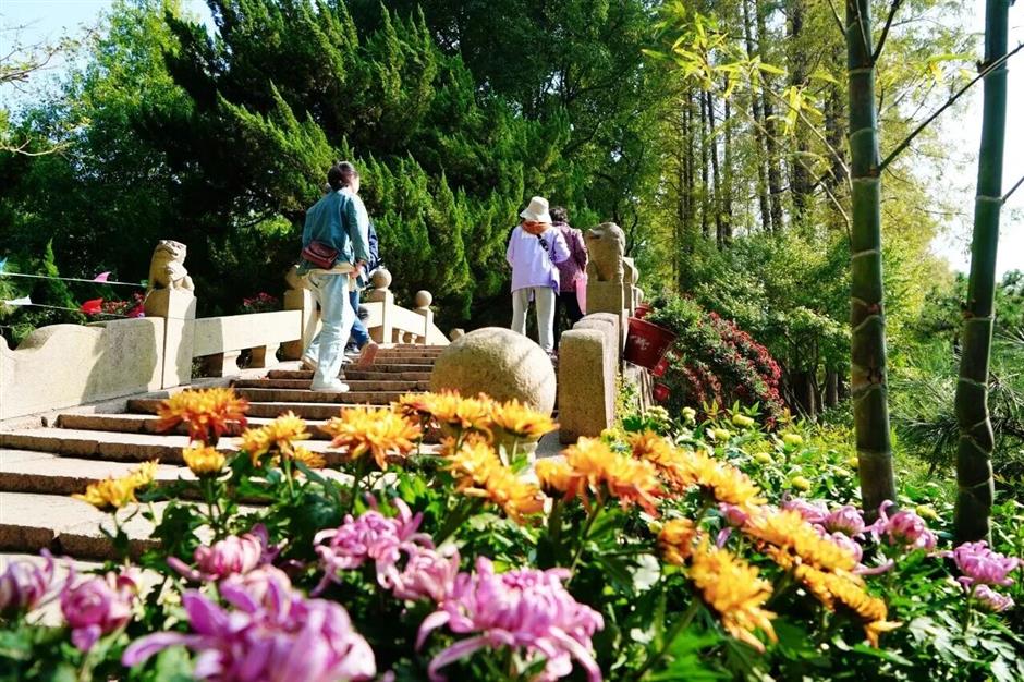 赏秋景、逛展览、品美食......重阳节专属福利来了