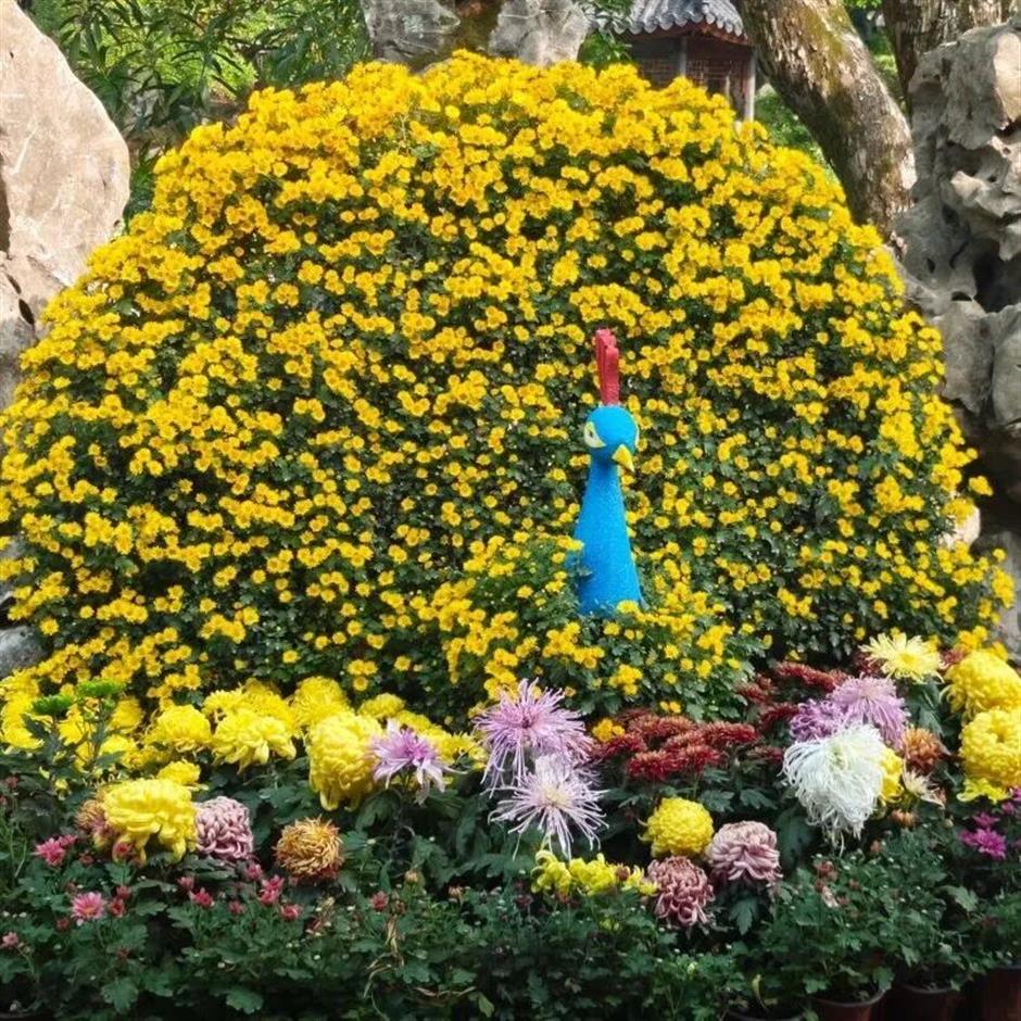 秋日限定!这场魔都花事盛宴别错过!