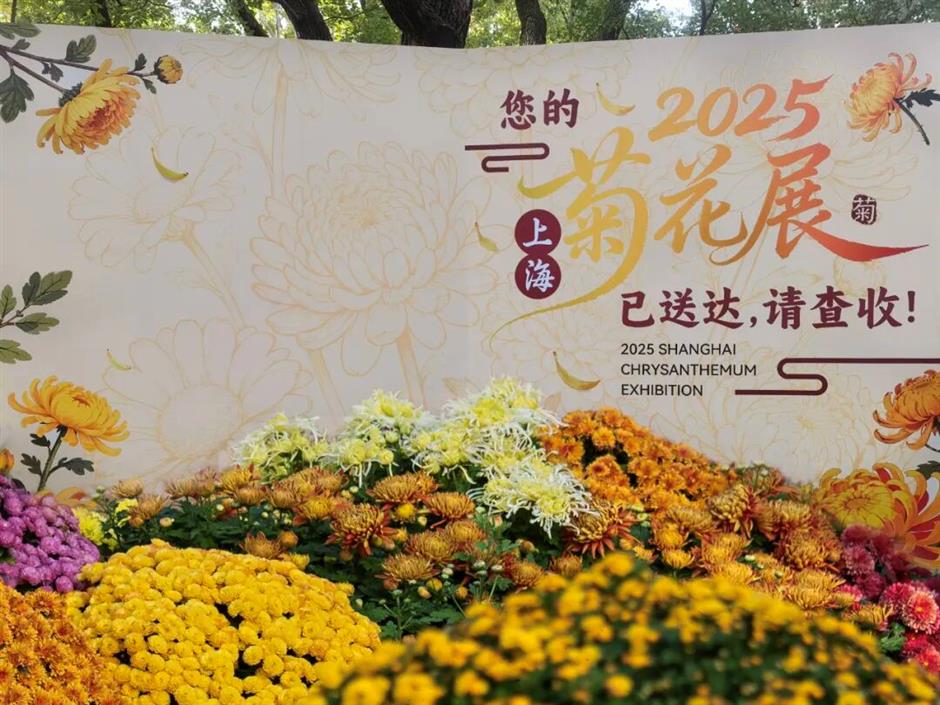 秋日限定!这场魔都花事盛宴别错过!