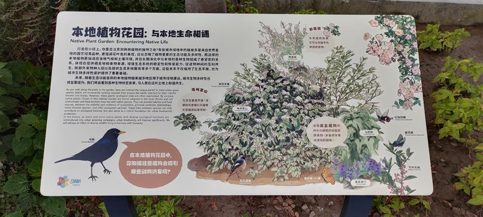 Plant Diversity! Discovering the Idyllic Side of Our Urban Heartland