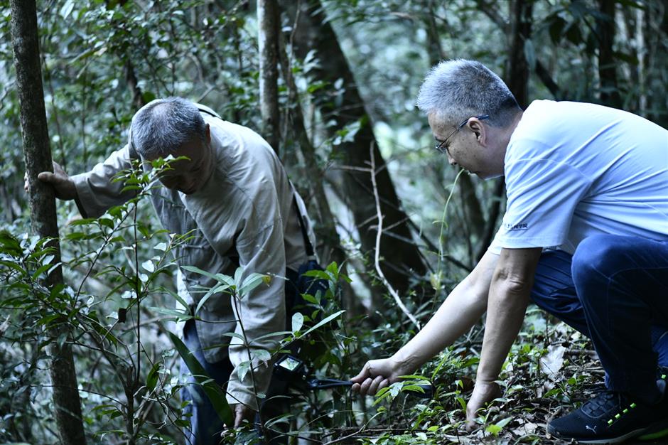 Plant Diversity! Discovering the Idyllic Side of Our Urban Heartland
