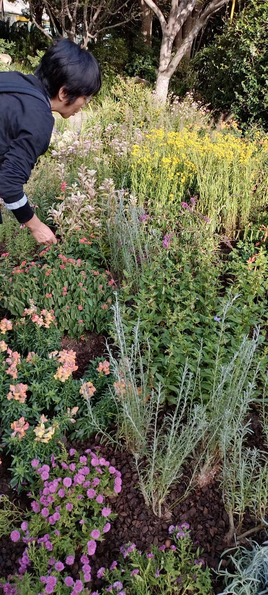 Plant Diversity! Discovering the Idyllic Side of Our Urban Heartland