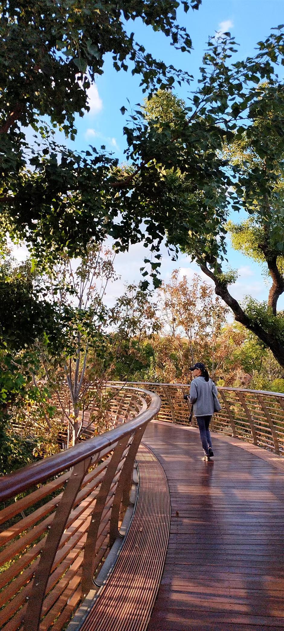 Plant Diversity! Discovering the Idyllic Side of Our Urban Heartland