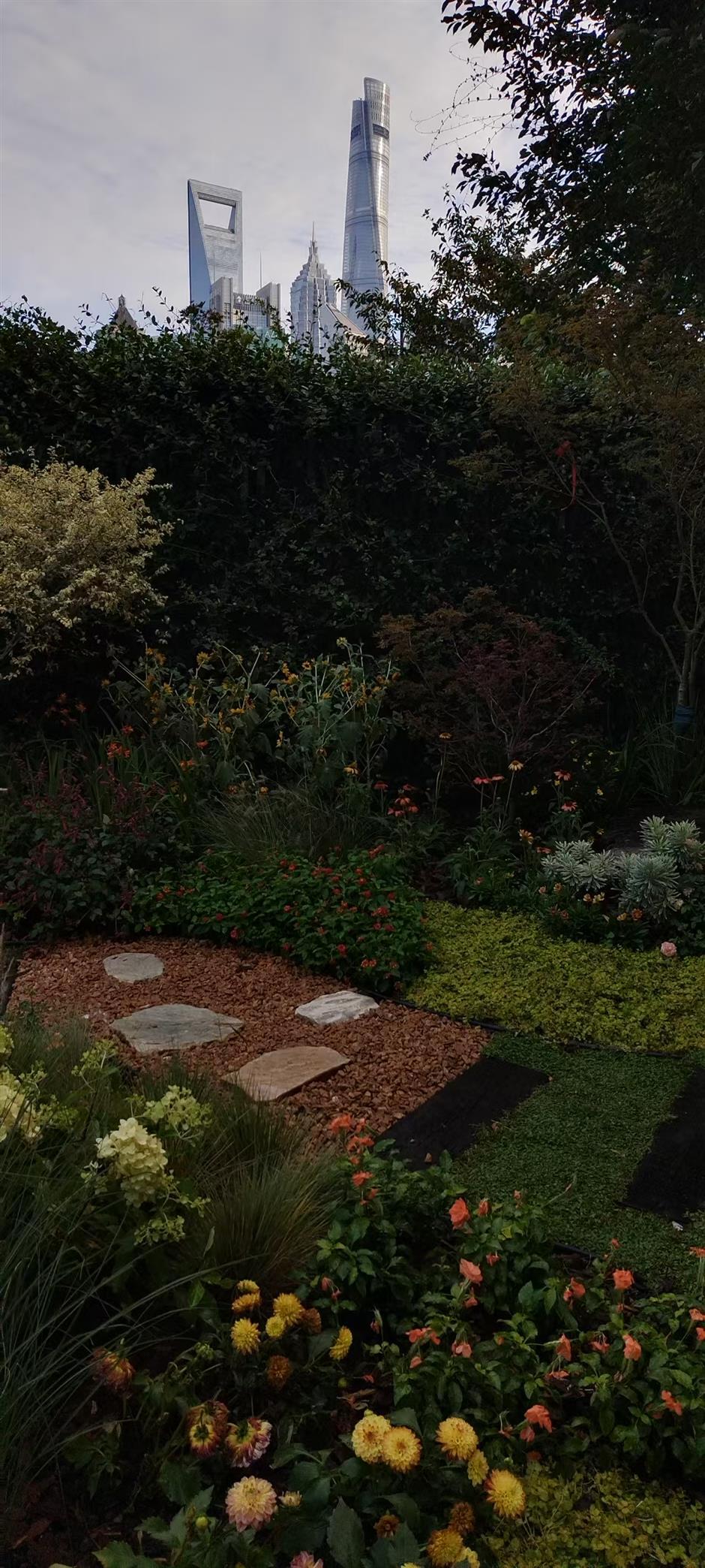 Plant Diversity! Discovering the Idyllic Side of Our Urban Heartland