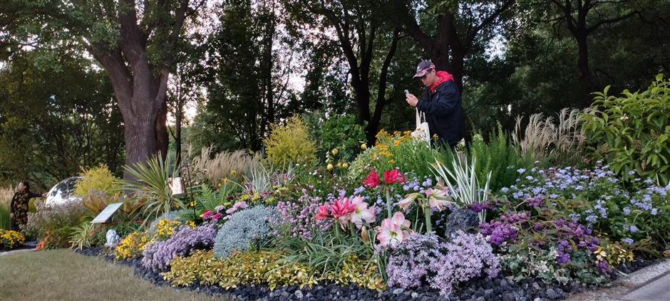 Plant Diversity! Discovering the Idyllic Side of Our Urban Heartland
