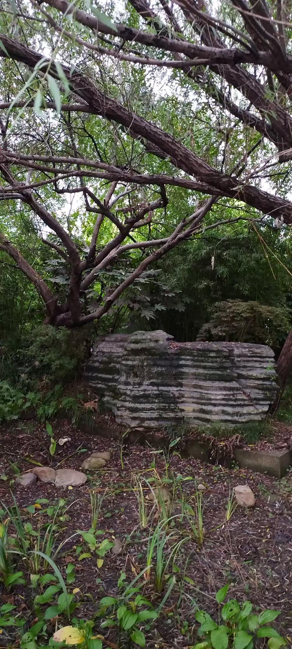 Plant Diversity! Discovering the Idyllic Side of Our Urban Heartland