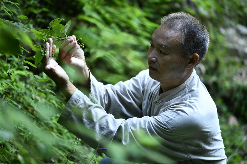 Plant Diversity! Discovering the Idyllic Side of Our Urban Heartland