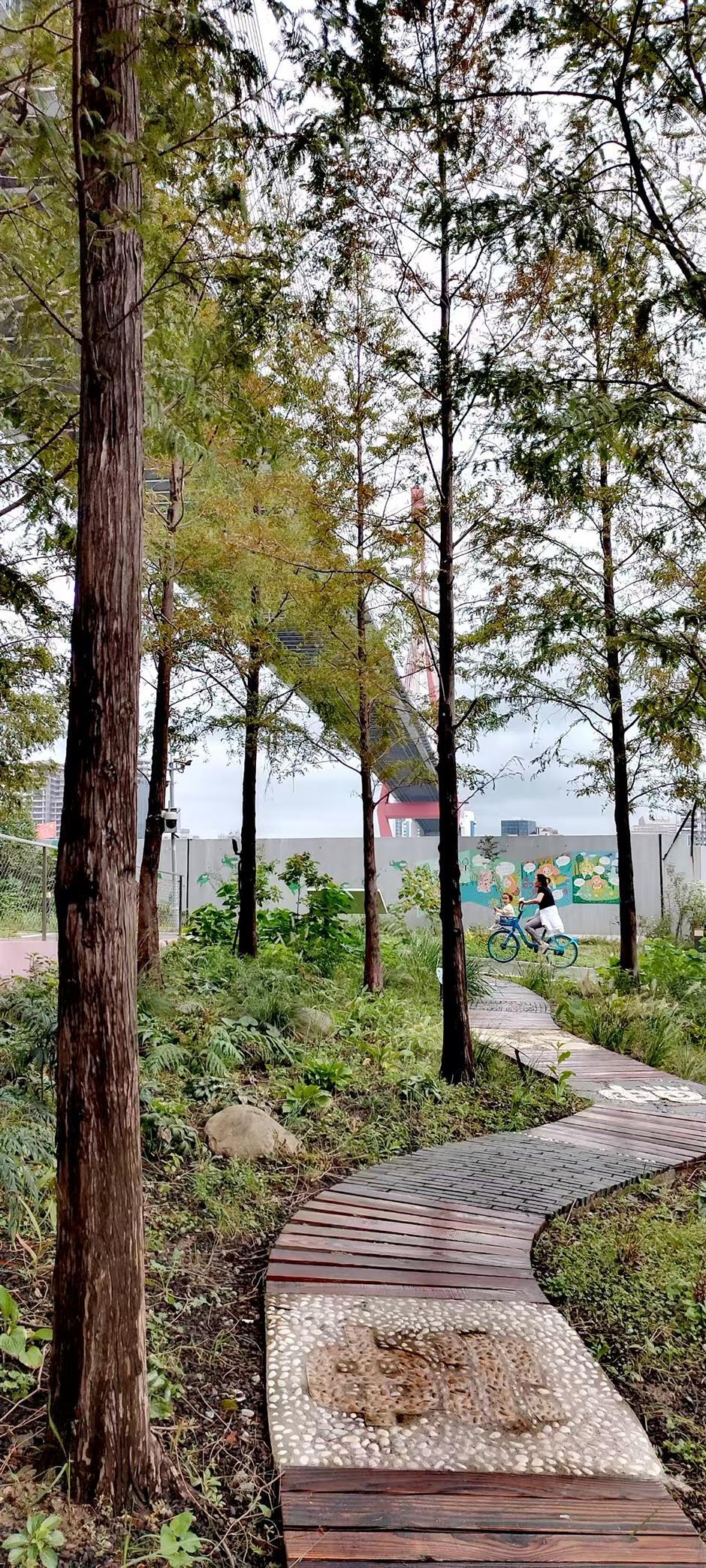 Plant Diversity! Discovering the Idyllic Side of Our Urban Heartland