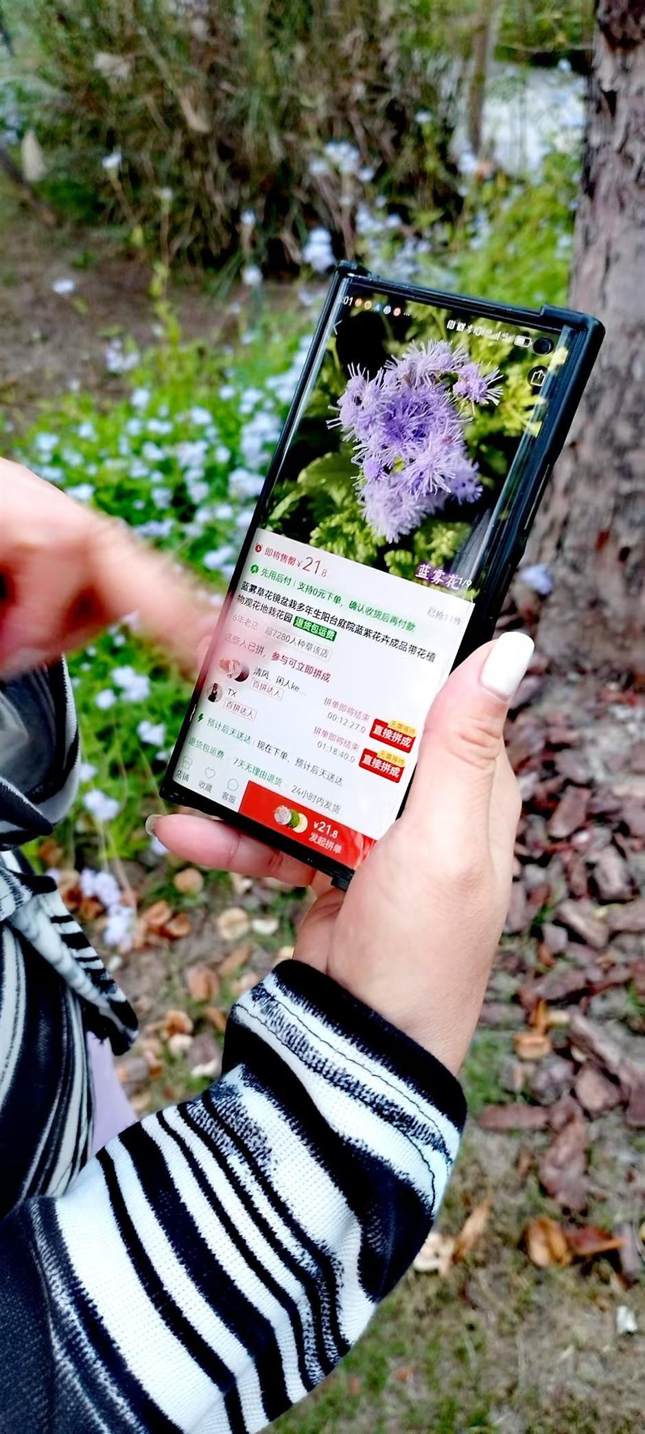 Plant Diversity! Discovering the Idyllic Side of Our Urban Heartland