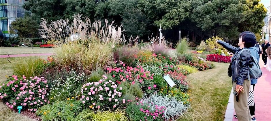 Plant Diversity! Discovering the Idyllic Side of Our Urban Heartland