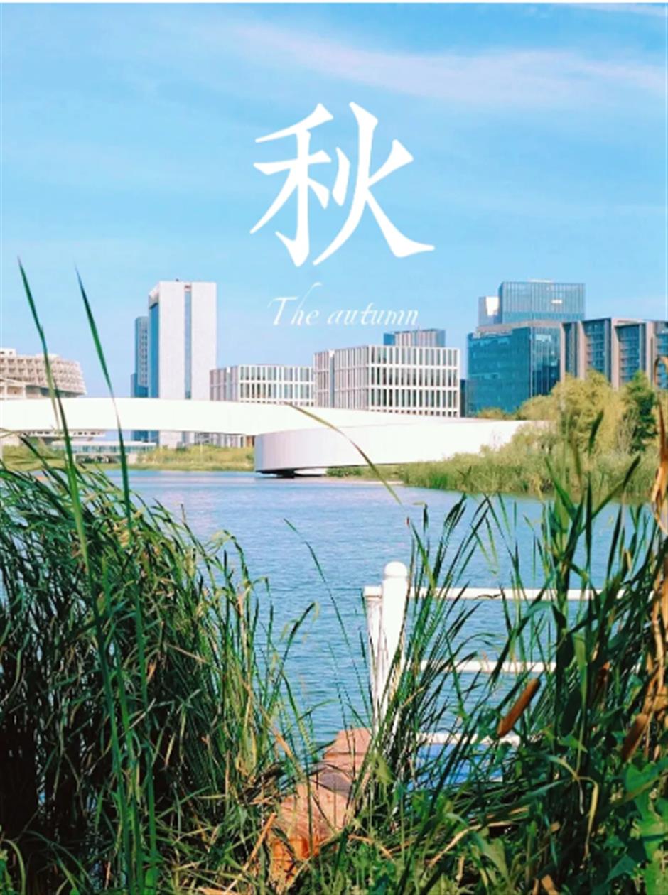 跟着这条40公里 