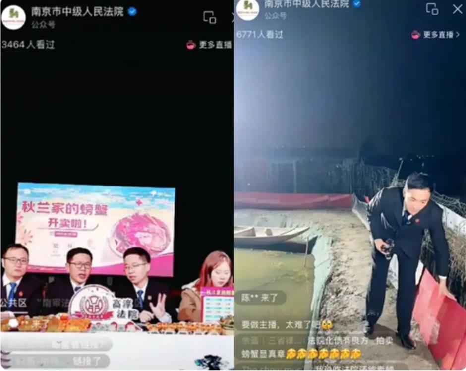 Judges Turn Livestreamers: Court Sells Crabs to Help Repay Debt