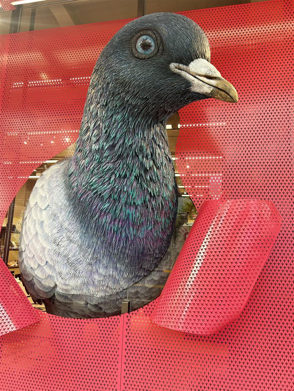 [First in Shanghai] 5 Foreign Outdoor / Sportswear Brands in SH