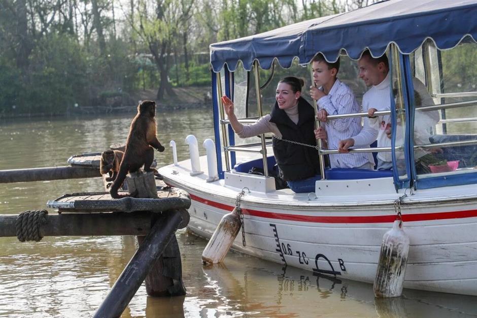 30周年园庆!上海野生动物园0元游攻略